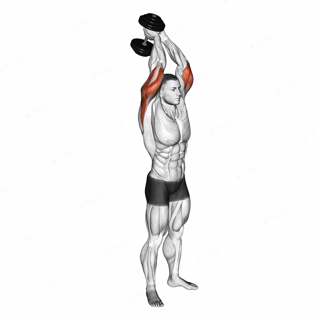 Dumbbell Standing Triceps Extension exercise targeting Upper Arms and Triceps Brachii