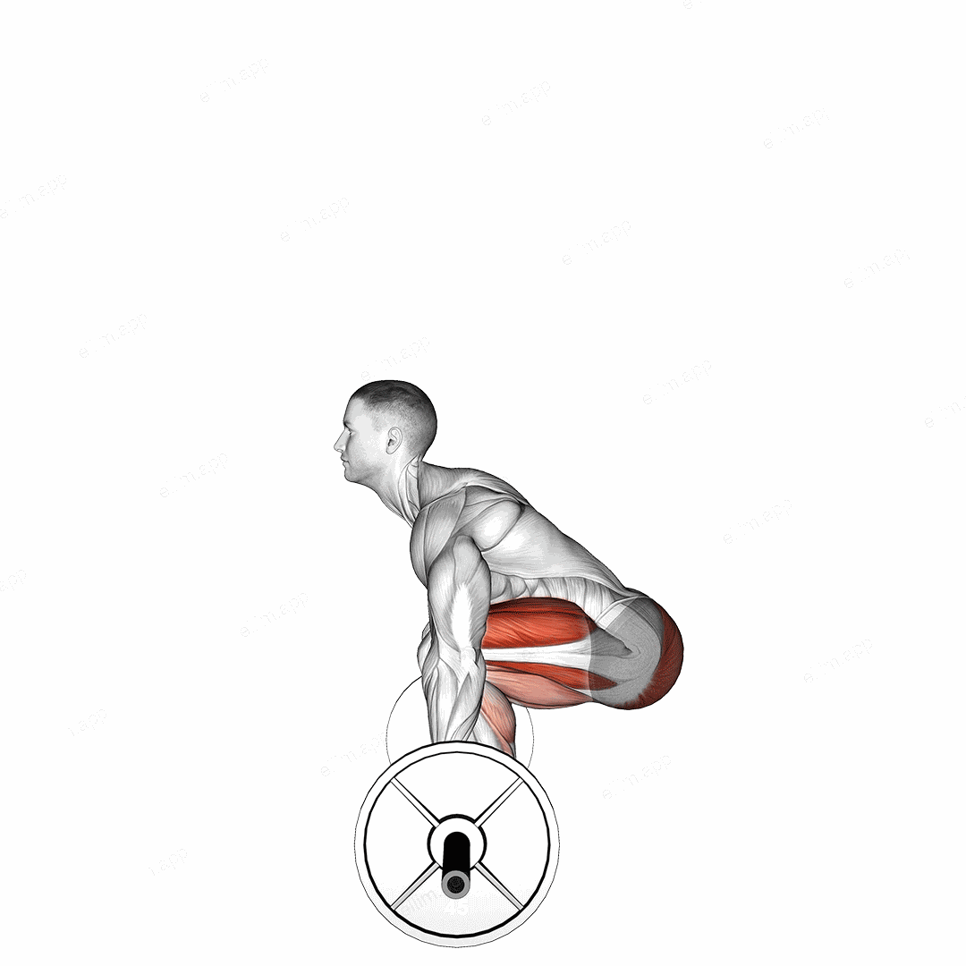 Barbell Deadlift (side POV) exercise targeting Hips