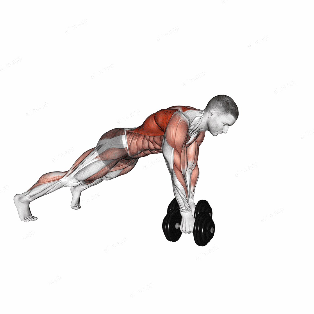 Dumbbell Renegade Row Walk exercise targeting Waist