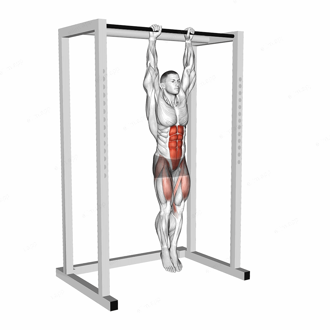 Hanging Straight Leg Raise exercise targeting Hips and Iliopsoas