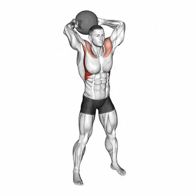 Medicine Ball Around Head Rotation exercise targeting Shoulders