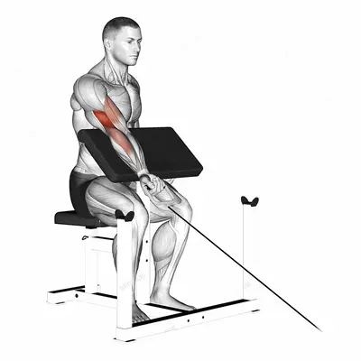 Cable One Arm Preacher Curl exercise targeting Upper Arms