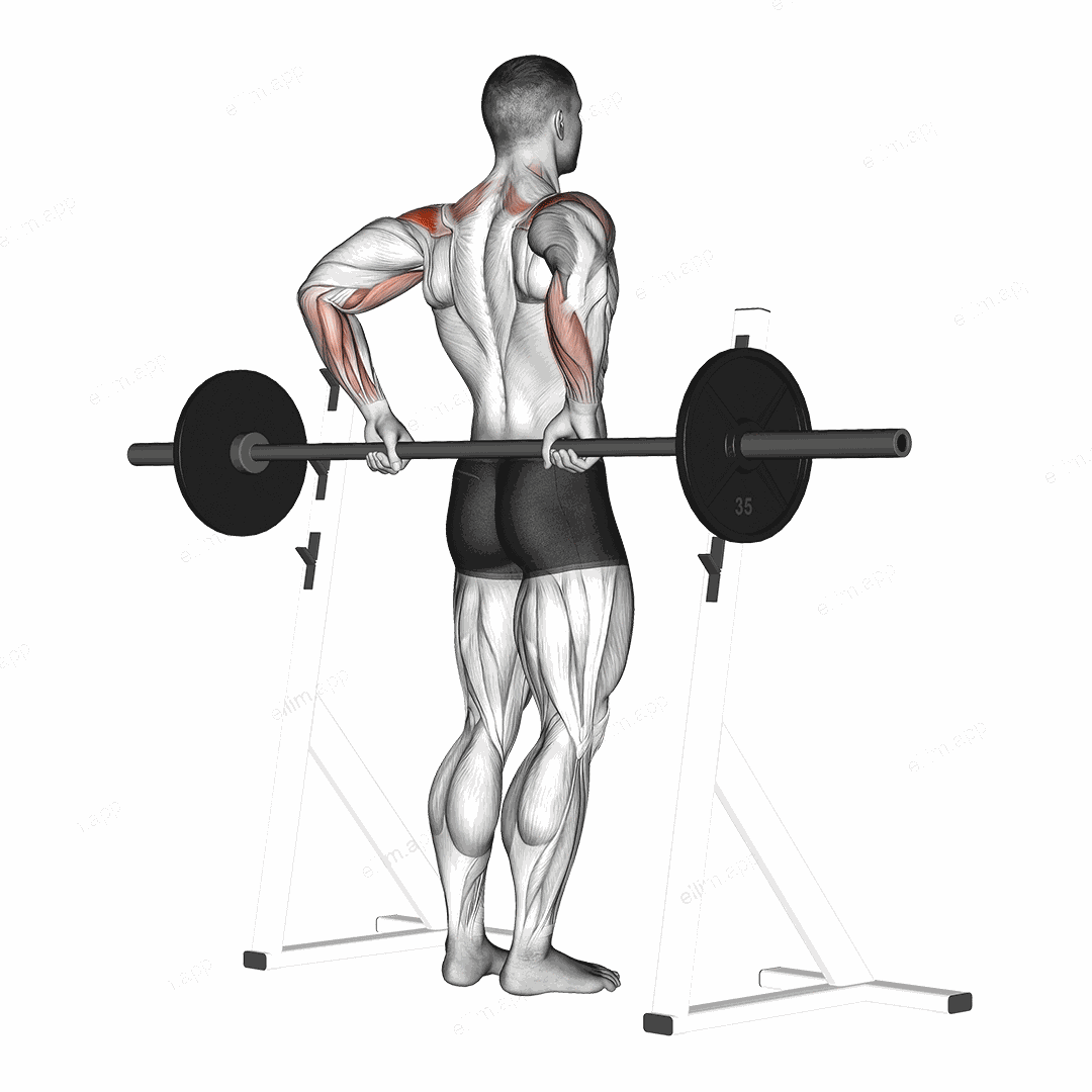 Barbell Rear Delt Raise exercise targeting Shoulders and Deltoid Posterior