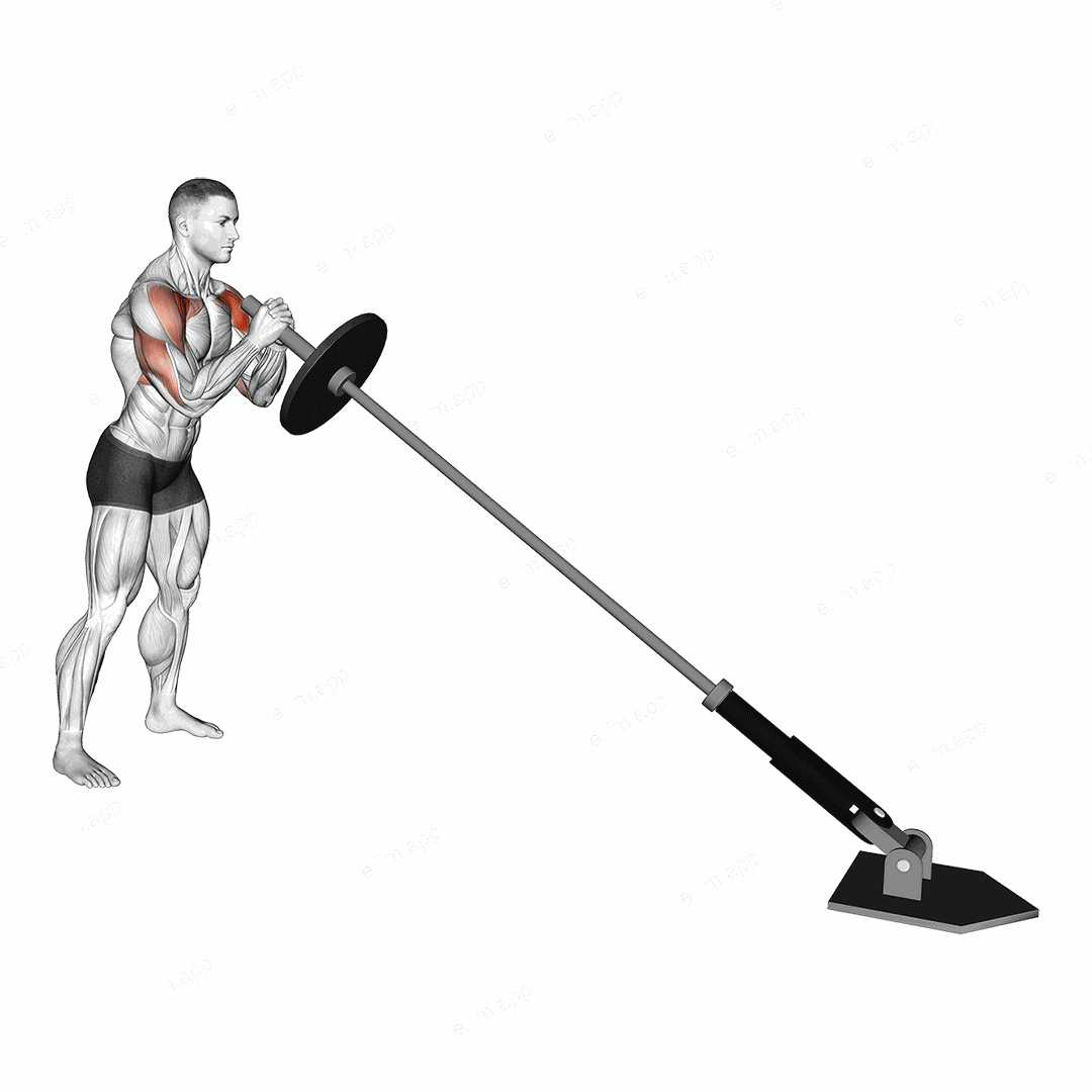 Landmine Press exercise targeting Shoulders