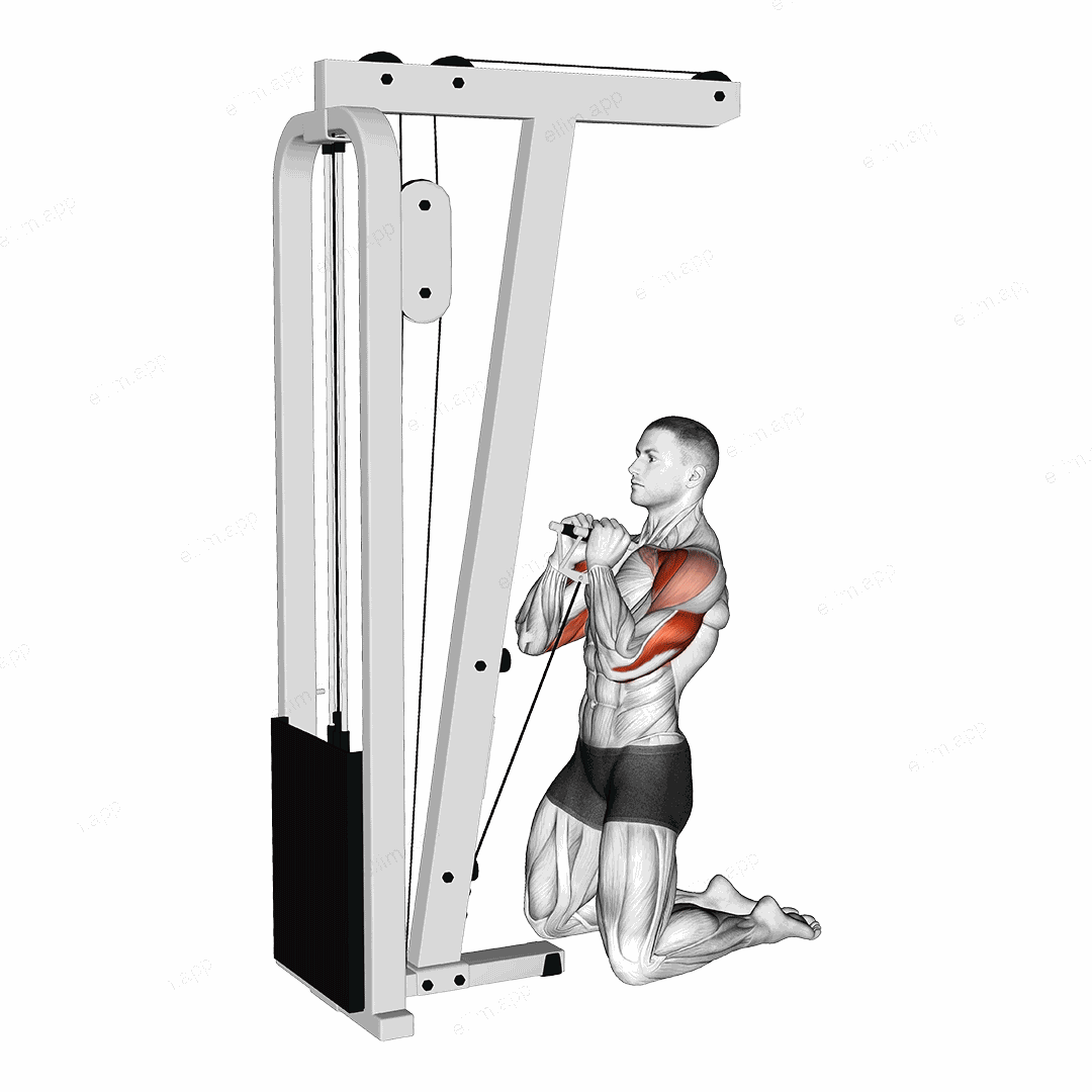 Cable Kneeling Shoulder Press exercise targeting Shoulders and Deltoid Anterior