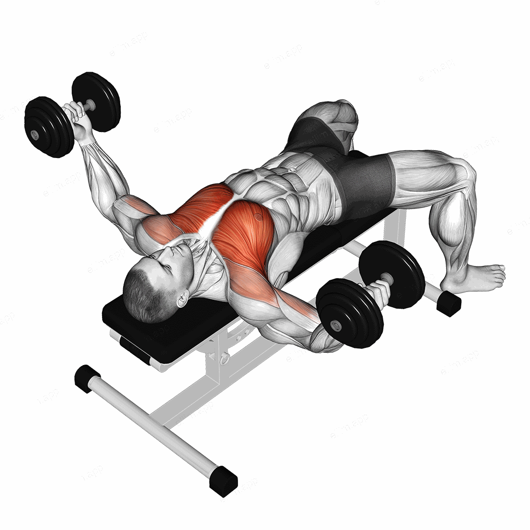 Dumbbell Fly exercise targeting Chest and Pectoralis Major Clavicular Head