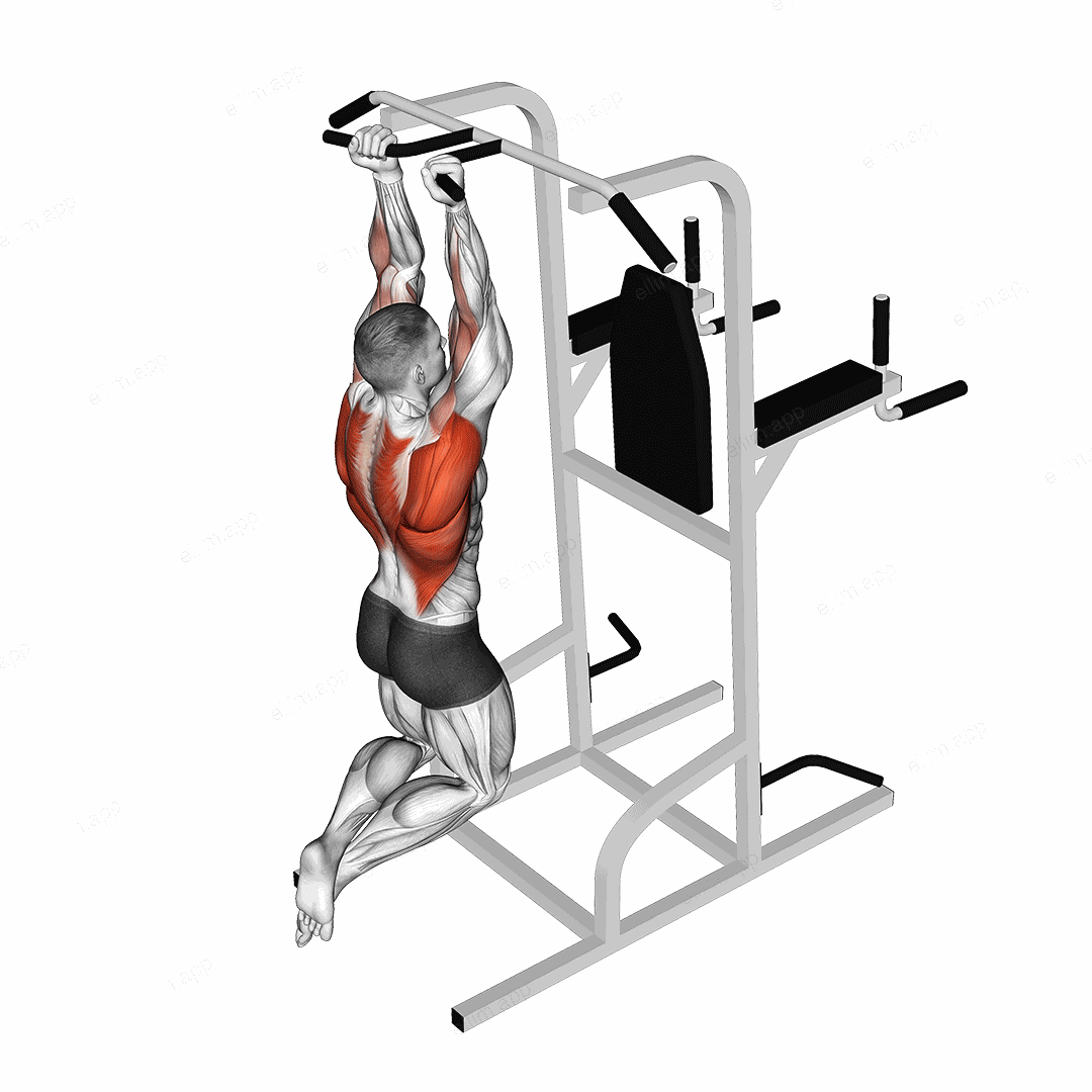 Supinated Narrow Grip Pull-up exercise targeting Back