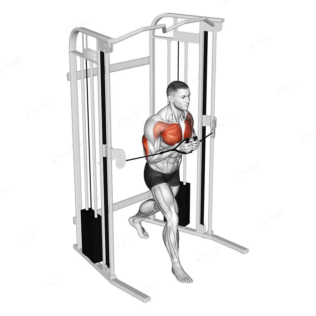 Cable Standing Close Press exercise targeting Upper Arms and Triceps Brachii