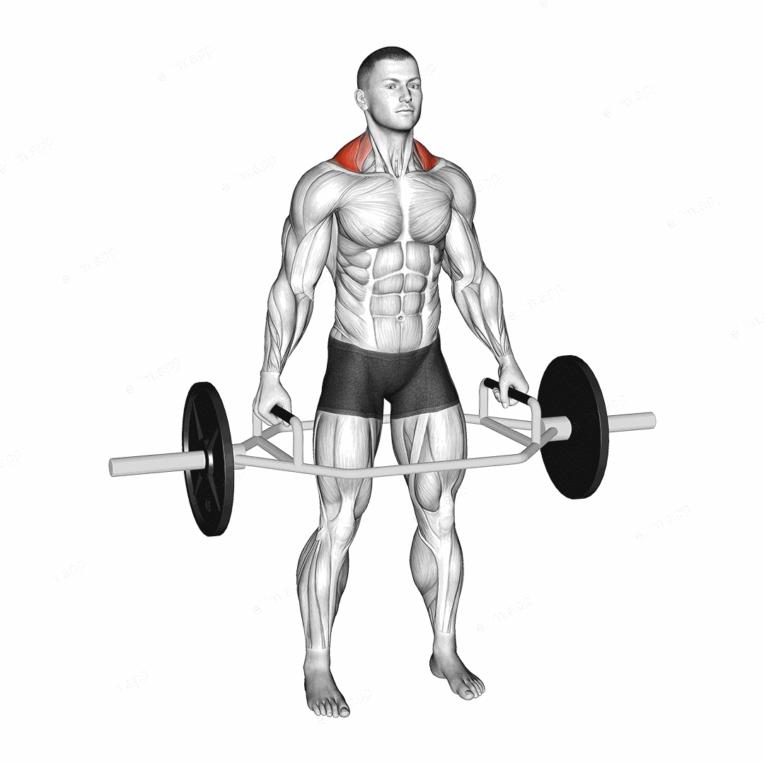Trap Bar Standing Shrug exercise targeting Back and Trapezius Upper Fibers
