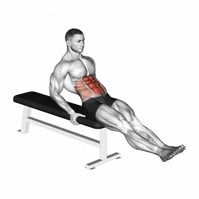 Seated Leg Raise exercise targeting Waist and Rectus Abdominis