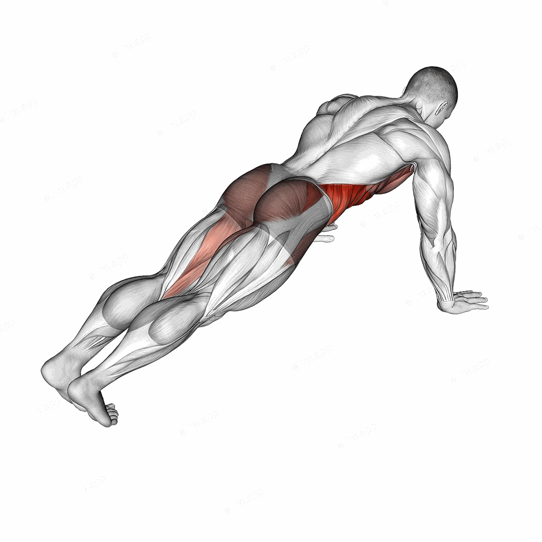 Leg Extension Plank exercise targeting Waist