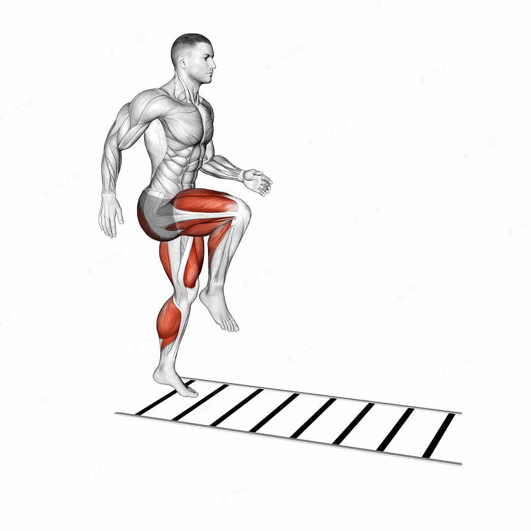 Plyometric Agility Drill exercise targeting Plyometrics