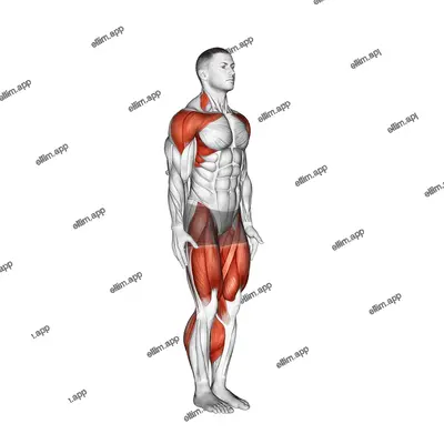 Astride Jumps exercise targeting Cardio