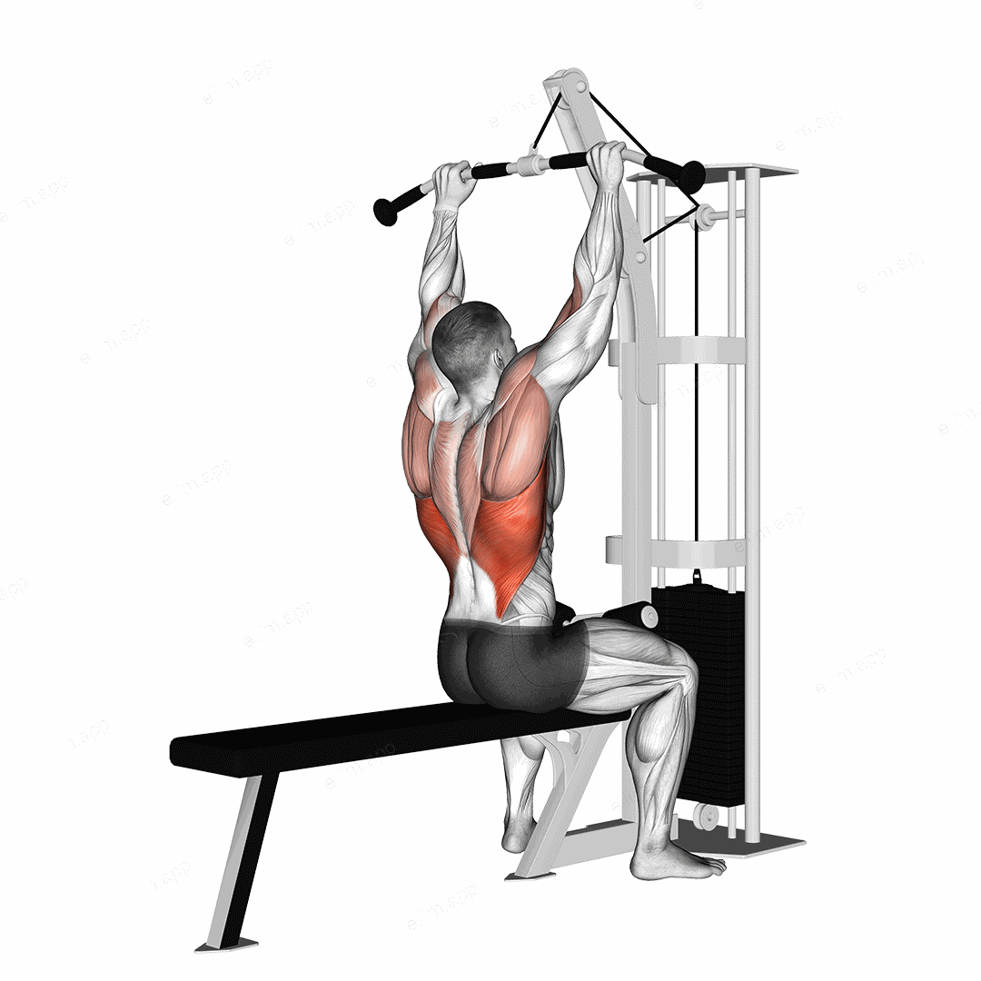 Cable Pulldown exercise targeting Back and Latissimus Dorsi