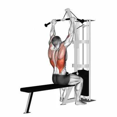 Cable Pulldown exercise targeting Back and Latissimus Dorsi