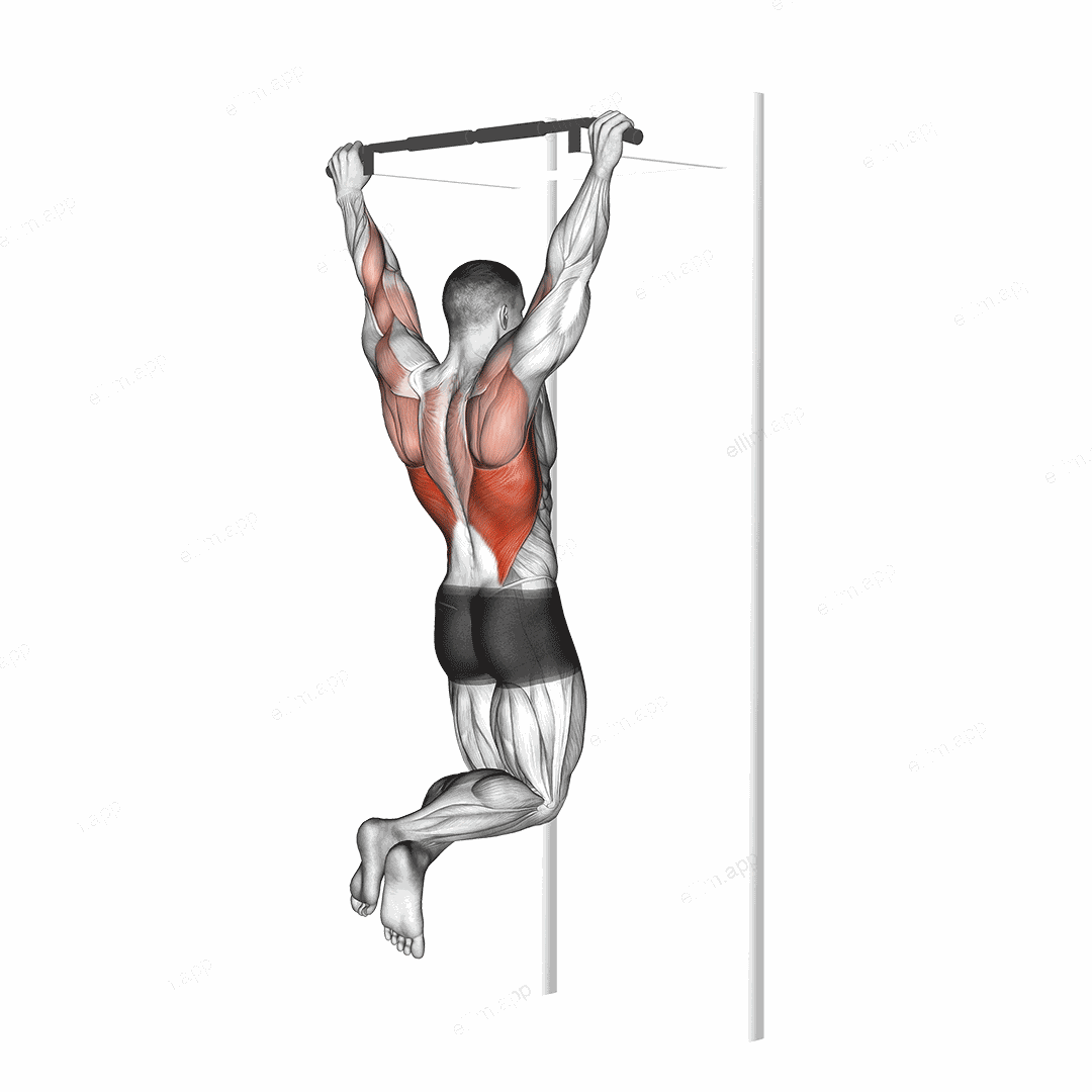 Pull up exercise targeting Back
