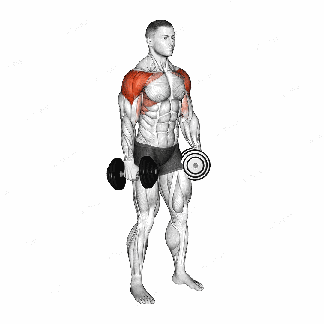 Dumbbell 4 Ways Lateral Raise exercise targeting Shoulders