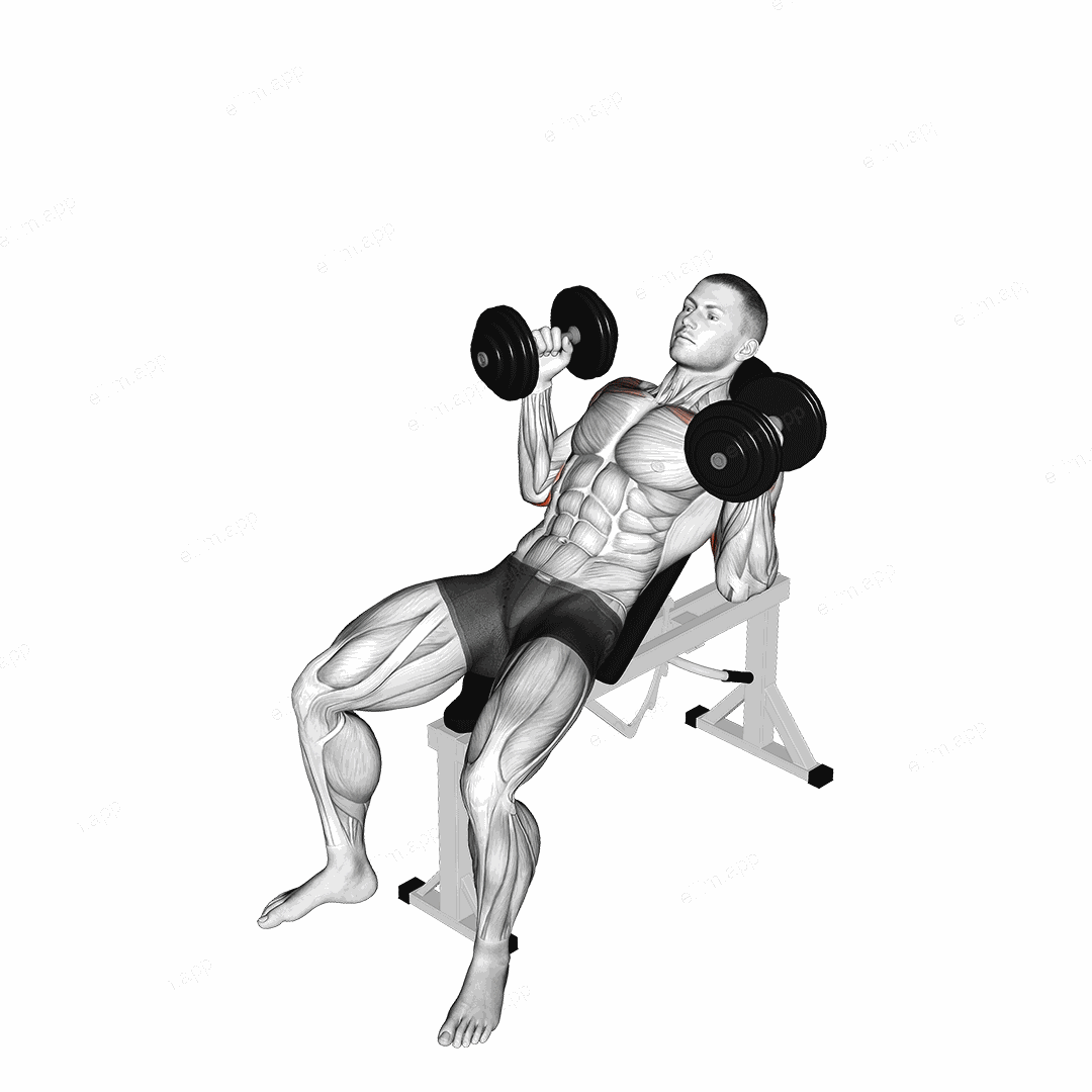 Dumbbell Palms In Incline Bench Press exercise targeting Upper Arms and Pectoralis Major Clavicular Head