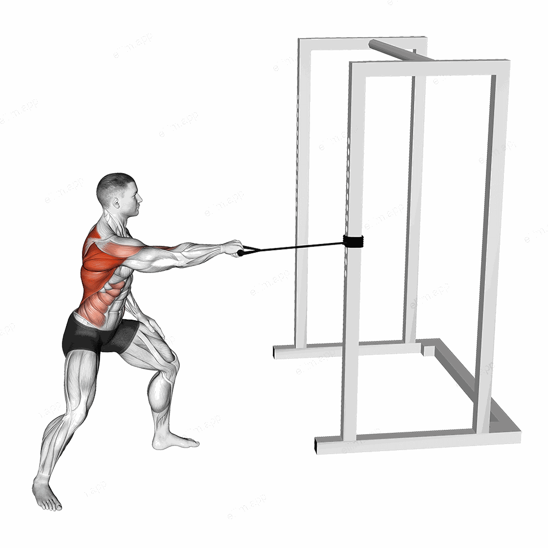 Band Standing Single Arm Twist Row exercise targeting Back and Infraspinatus