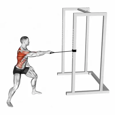 Band Standing Single Arm Twist Row exercise targeting Back and Infraspinatus