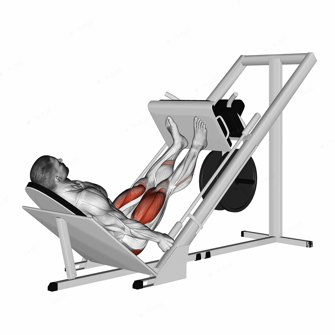 Sled 45 Leg Press exercise targeting Thighs