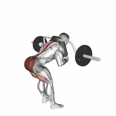 Safety Bar Good Morning exercise targeting Hips