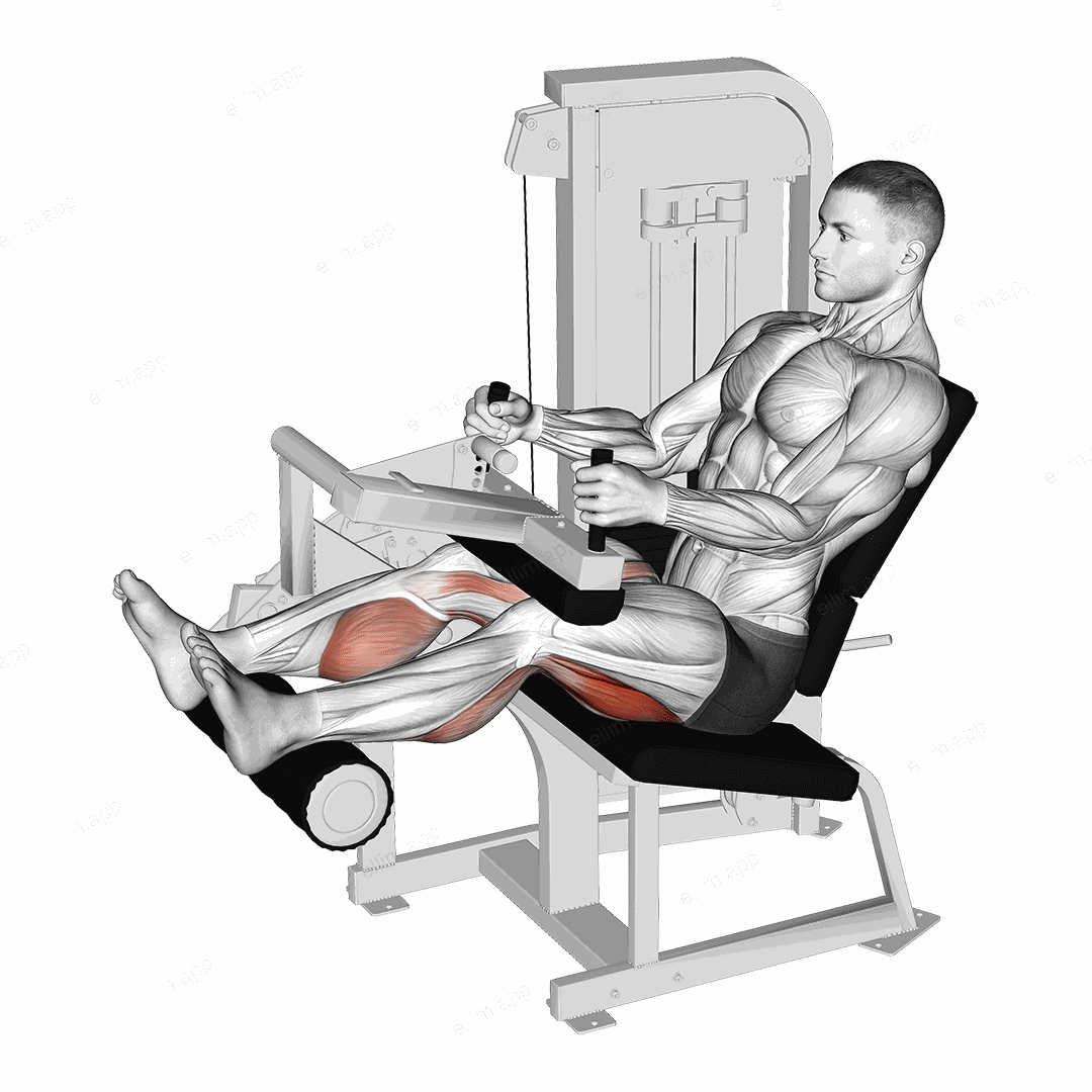 Lever Seated Leg Curl exercise targeting Thighs and Hamstrings