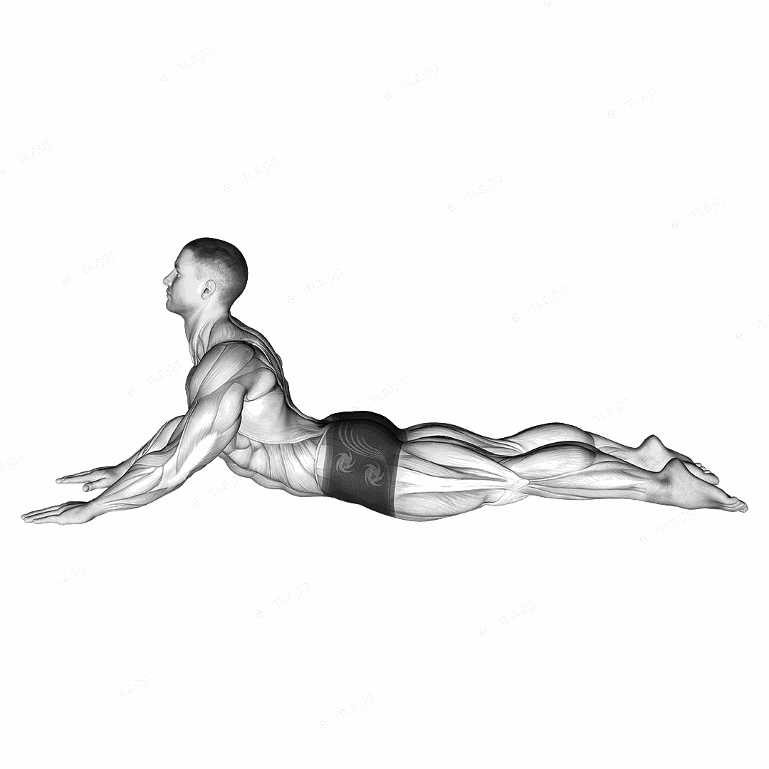 Lying (prone) Abdominal Stretch exercise targeting Waist and Rectus Abdominis