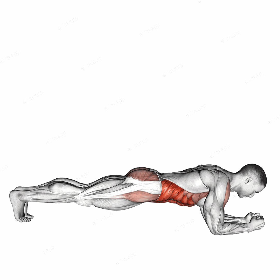 Front Plank with Twist exercise targeting Waist and Obliques