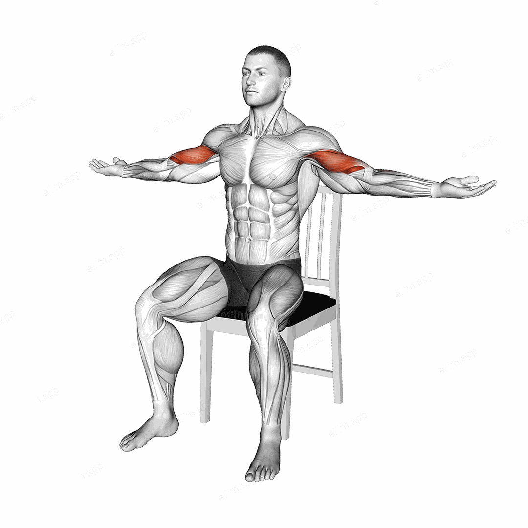 Seated Shoulder Tap on a Chair exercise targeting Upper Arms