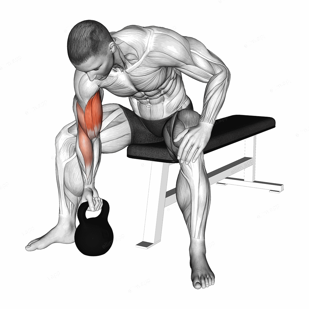 Kettlebell Concentration Curl exercise targeting Upper Arms
