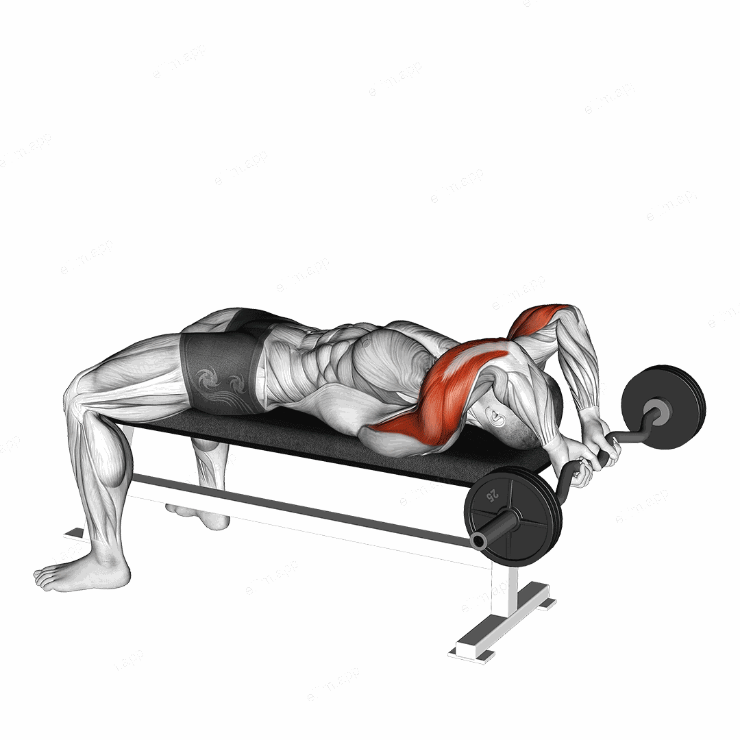 EZ Bar Lying Close Grip Triceps Extension Behind Head exercise targeting Upper Arms