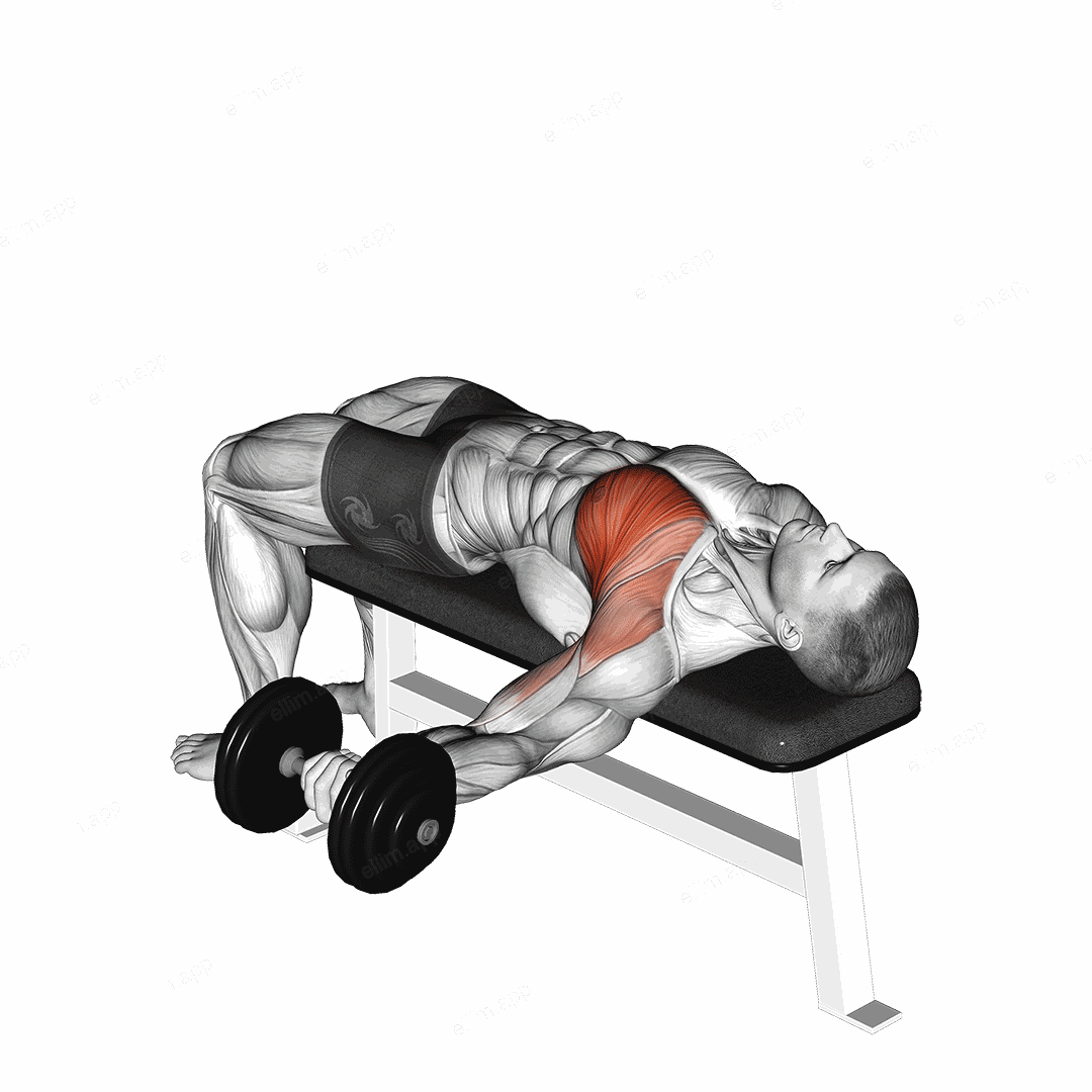 Dumbbell One Arm Bench Fly exercise targeting Chest and Pectoralis Major Sternal Head