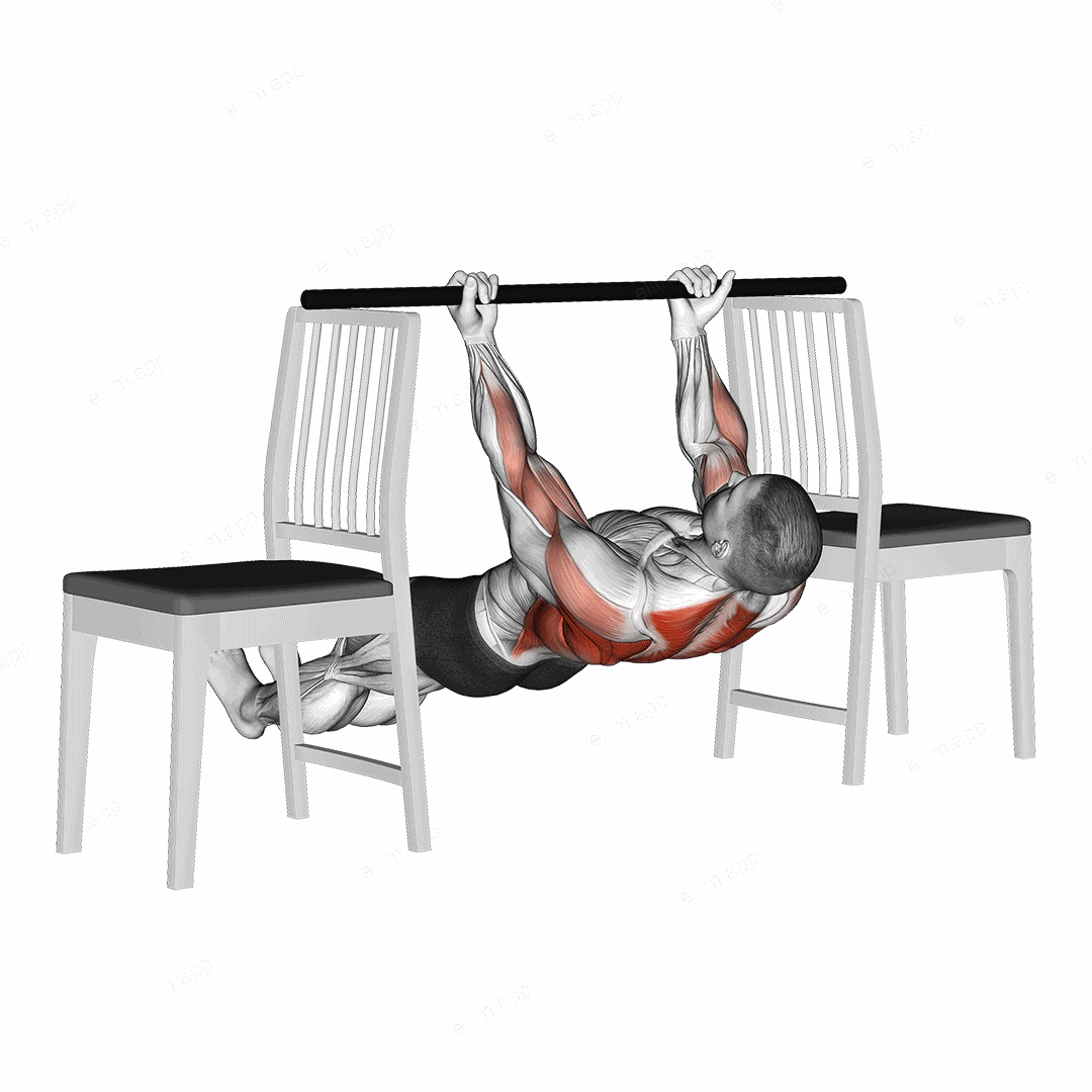 Inverted Underhand Grip Row between Chairs exercise targeting Back and Infraspinatus