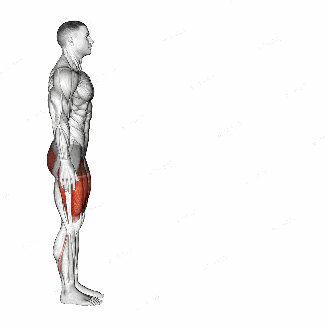 Bodyweight Forward Lunge (Hinge at Hips) exercise targeting Gluteus Maximus and Quadriceps