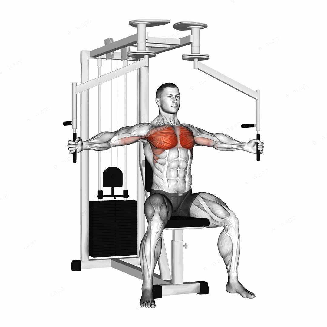 Lever Seated Fly exercise targeting Chest and Pectoralis Major Sternal Head
