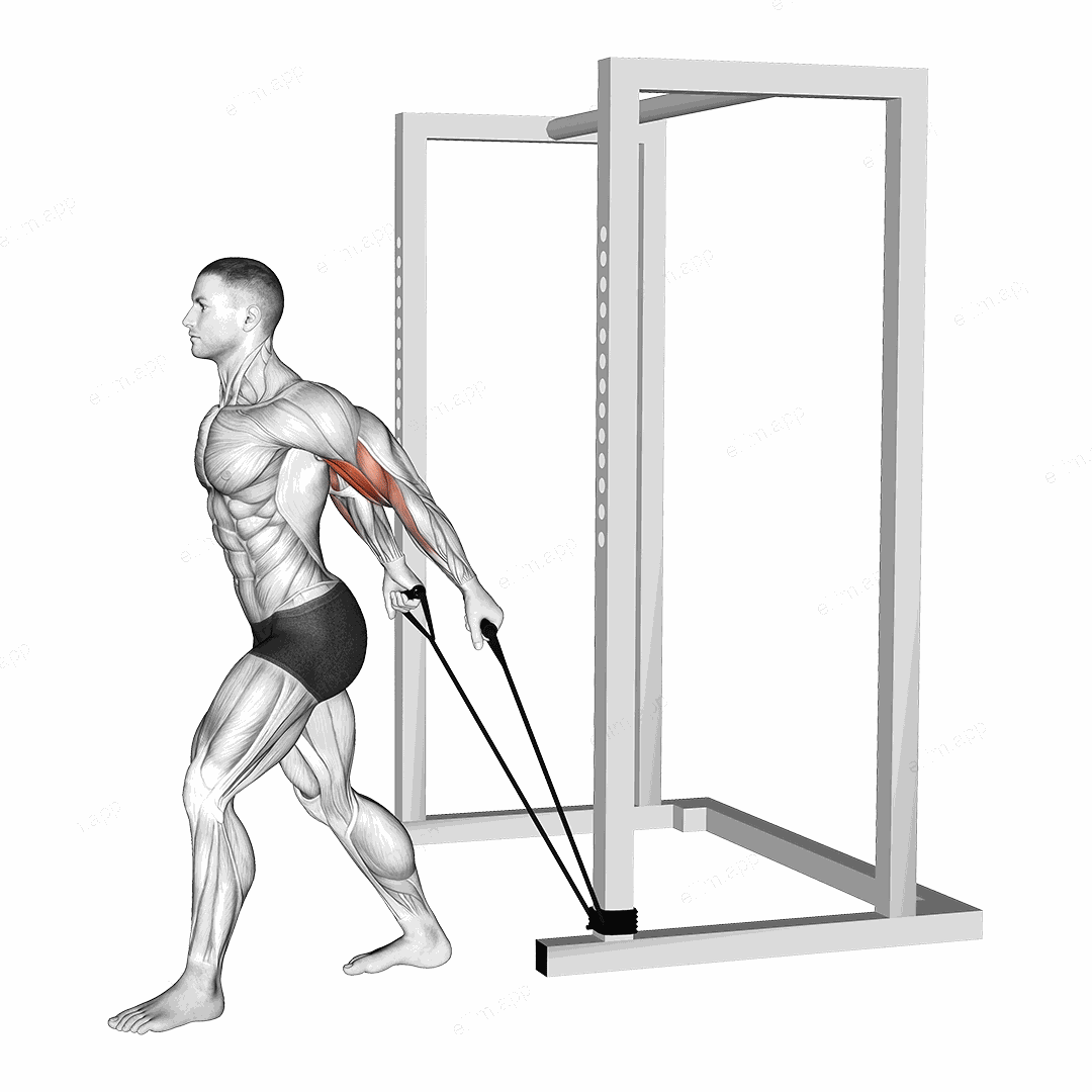 Band 45 degrees Biceps Curl exercise targeting Upper Arms and Biceps Brachii