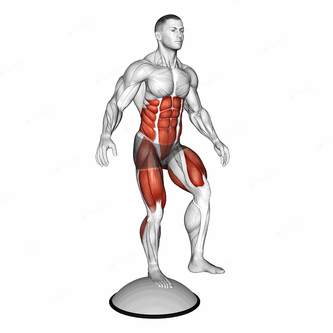 Single Leg Stand on Bosu Ball exercise targeting Plyometrics
