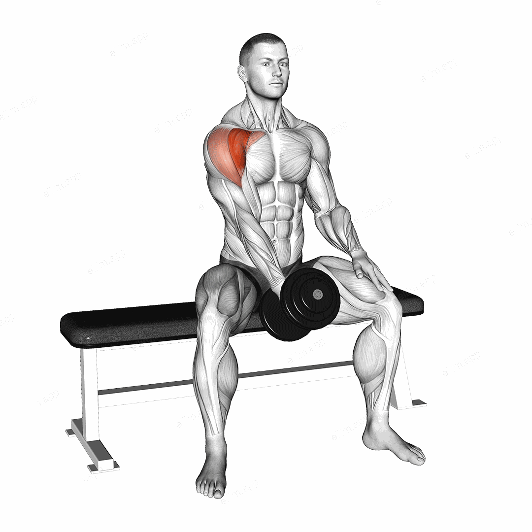 Dumbbell Seated Single Arm Front Raise exercise targeting Shoulders