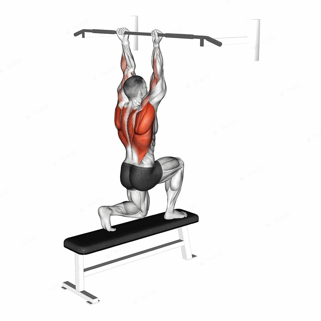 Assisted Chin up (low bar position) exercise targeting Back