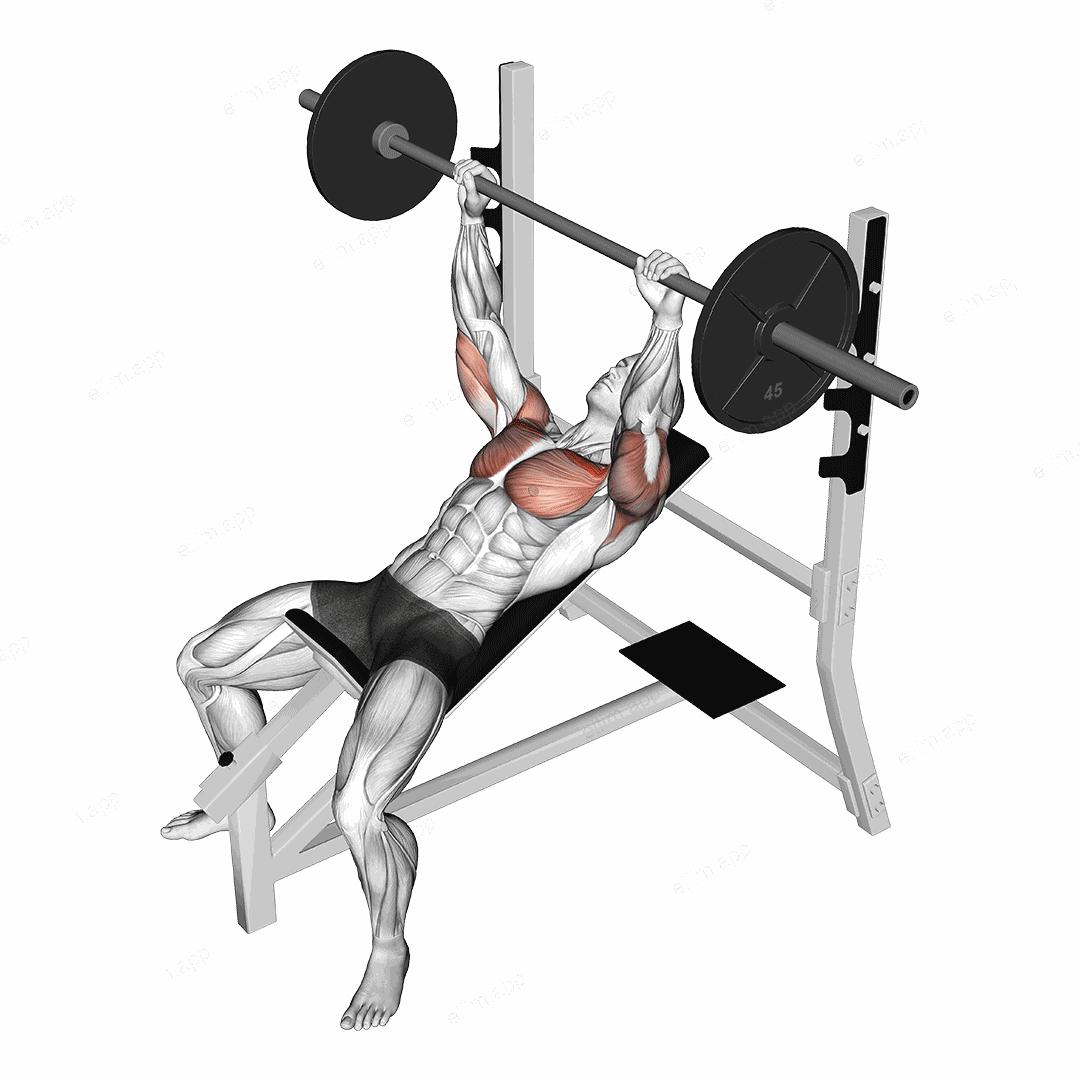 Barbell Pause Incline Bench Press exercise targeting Chest and Pectoralis Major Clavicular Head