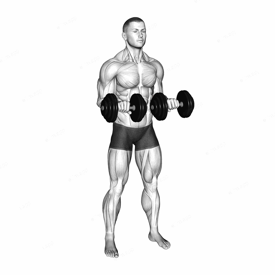Dumbbell Standing Arms Rotate exercise targeting Forearms