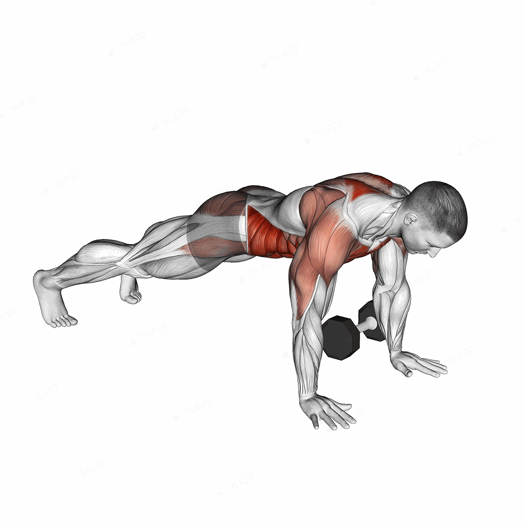 Dumbbell Plank Pass Through exercise targeting Waist and Obliques