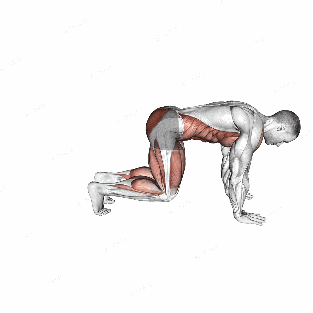 Bear Plank Kickback exercise targeting Hips