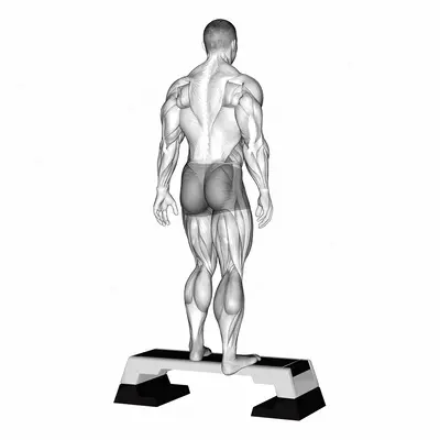 Plantar Flexor And Foot Inverter Stretch exercise targeting Calves