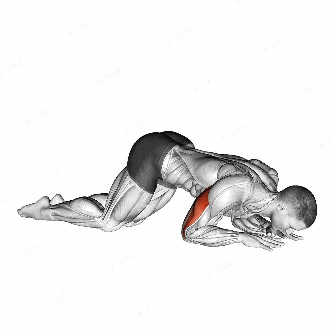 Bodyweight Kneeling Triceps Extension exercise targeting Upper Arms and Triceps Brachii