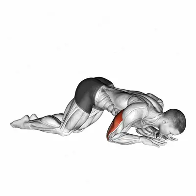 Bodyweight Kneeling Triceps Extension exercise targeting Upper Arms and Triceps Brachii