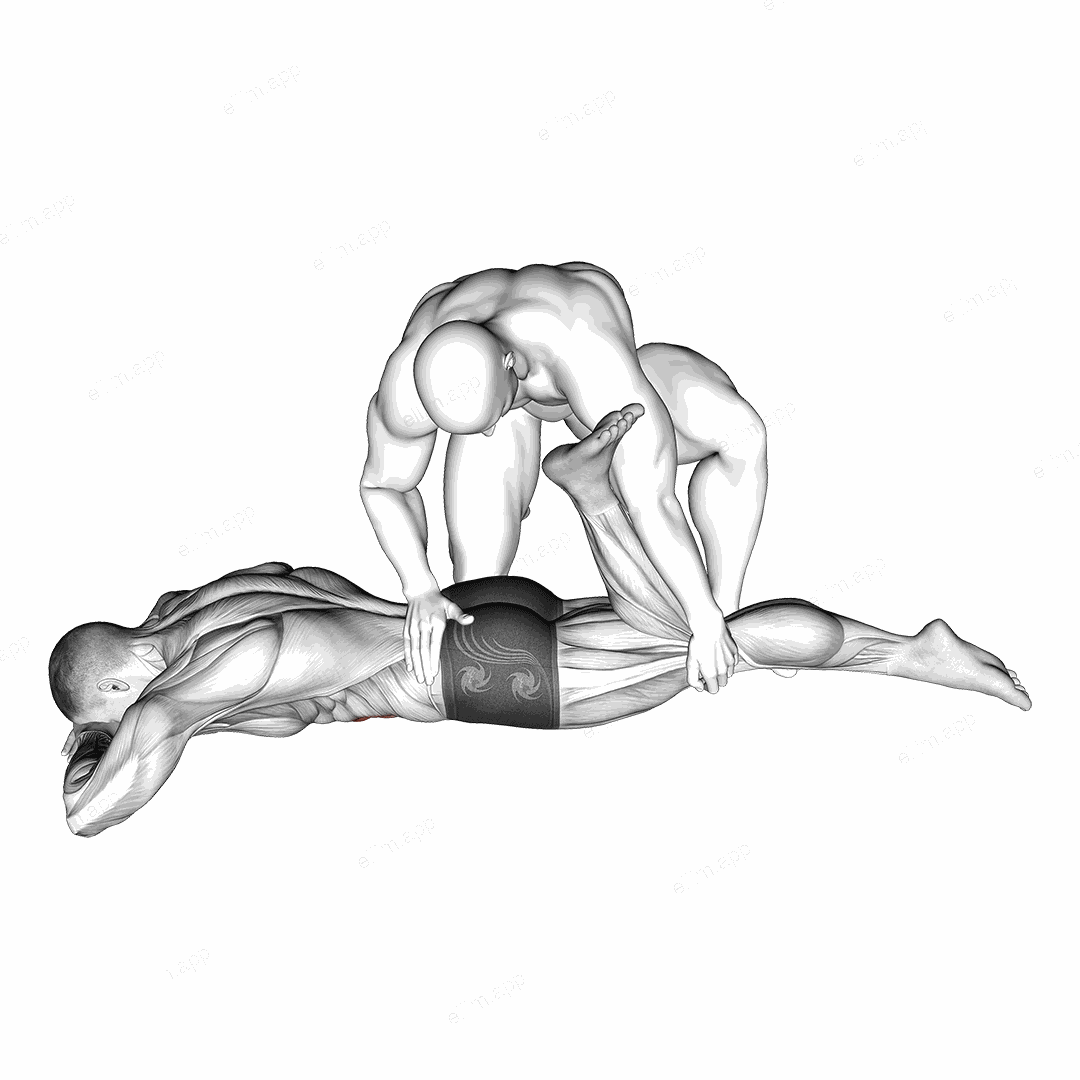Assisted Prone Rectus Femoris Stretch exercise targeting Waist