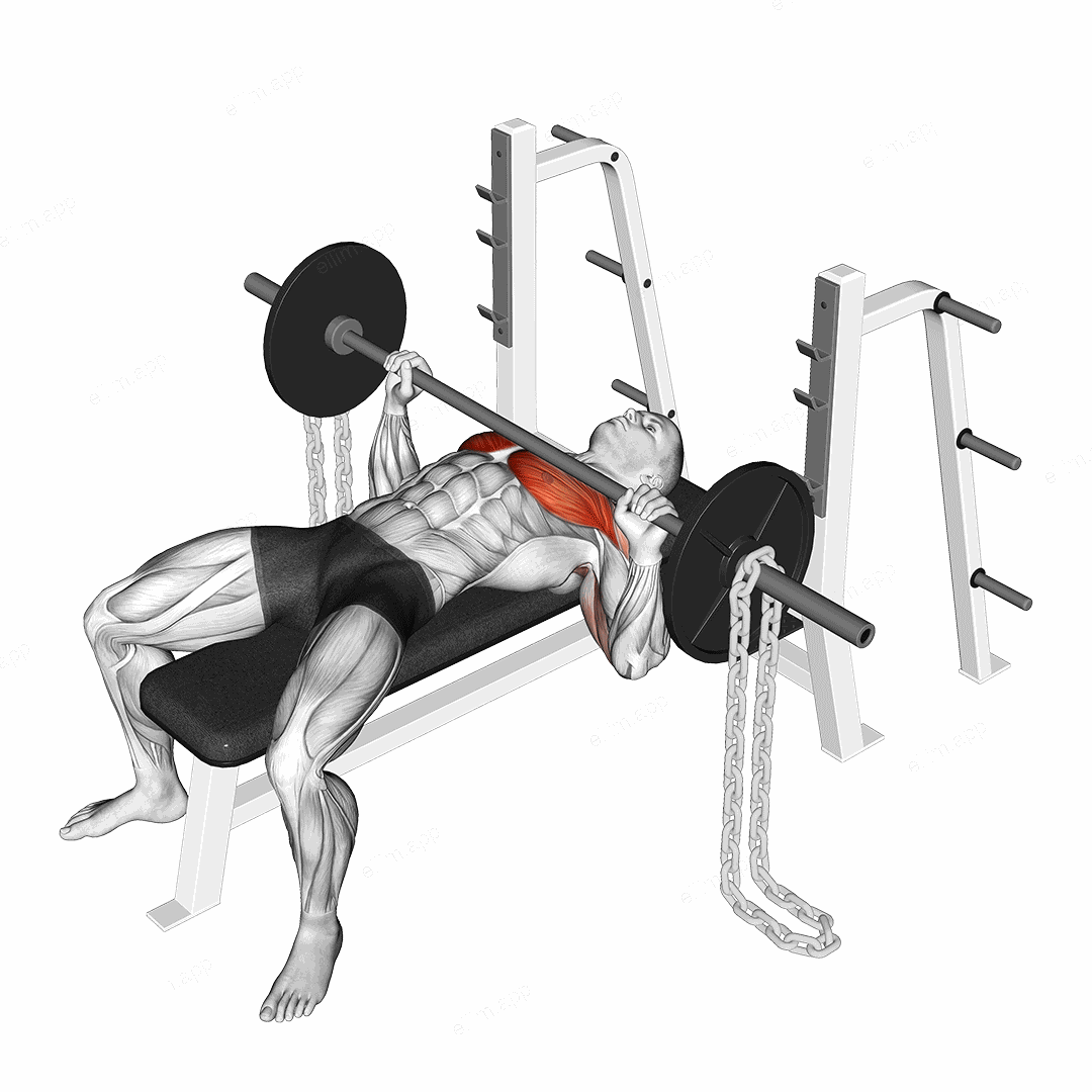 Barbell Bench Press against Chains exercise targeting Chest