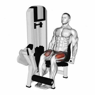 Lever Leg Extension (Inward Toes) exercise targeting Thighs